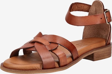 Sandales à lanières PAVEMENT en marron : devant