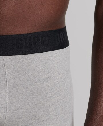 pilka Superdry Boxer trumpikės