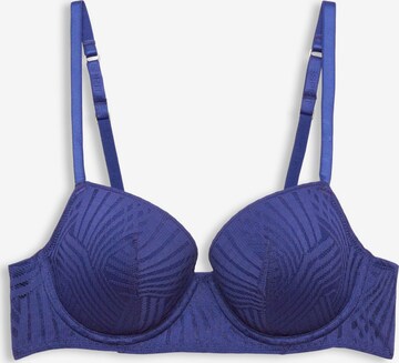 ESPRIT Bra in Blue: front