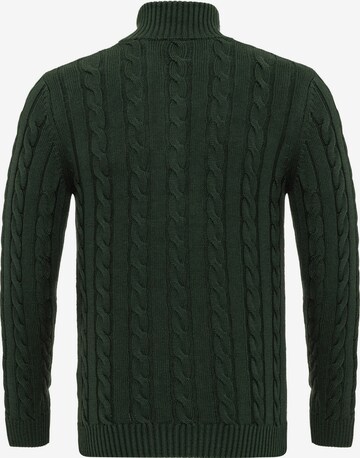 Felix Hardy Pullover in Grün