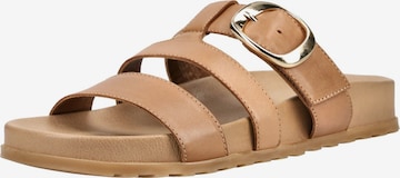 Mule Paul Green en marron : devant