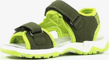 RICHTER Sandals & Slippers in Green: front