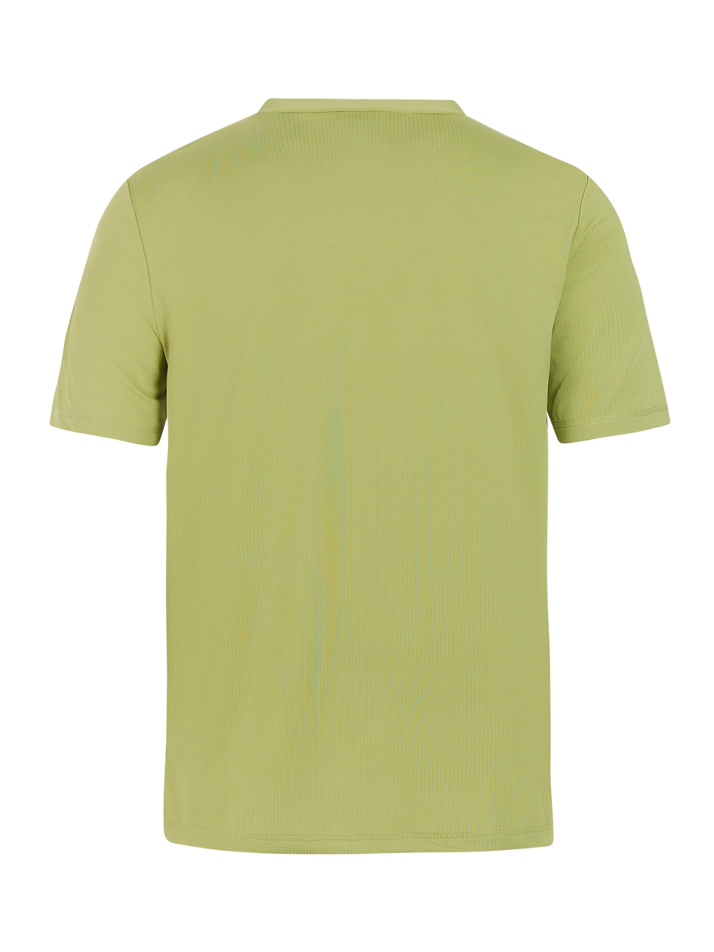 PROTEST Funktionsshirt 'PRTCore' in Grün