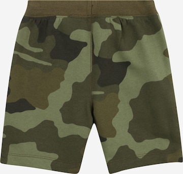 GAP Regular Shorts in Grün