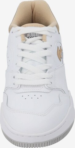 Baskets basses 'Linoshot' LACOSTE en blanc