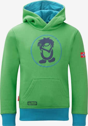 TROLLKIDS Pullover in Grün: Vorderseite