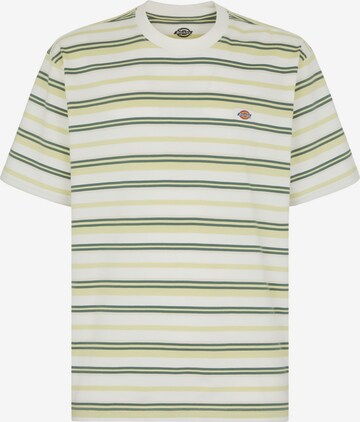 DICKIES Shirt 'GLADE SPRING' in Groen: voorkant