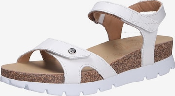 PANAMA JACK Sandaal in Wit: voorkant
