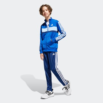 ADIDAS SPORTSWEAR Тренировочный костюм 'Seasonal Essentials Tiberio' в Синий: спереди