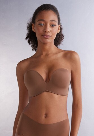 INTIMISSIMI Bandeau Bra in Brown