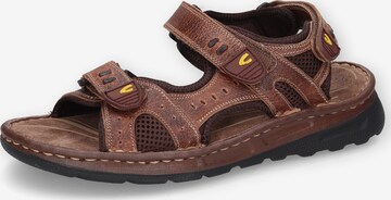 CAMEL ACTIVE Sandals in Brown: front