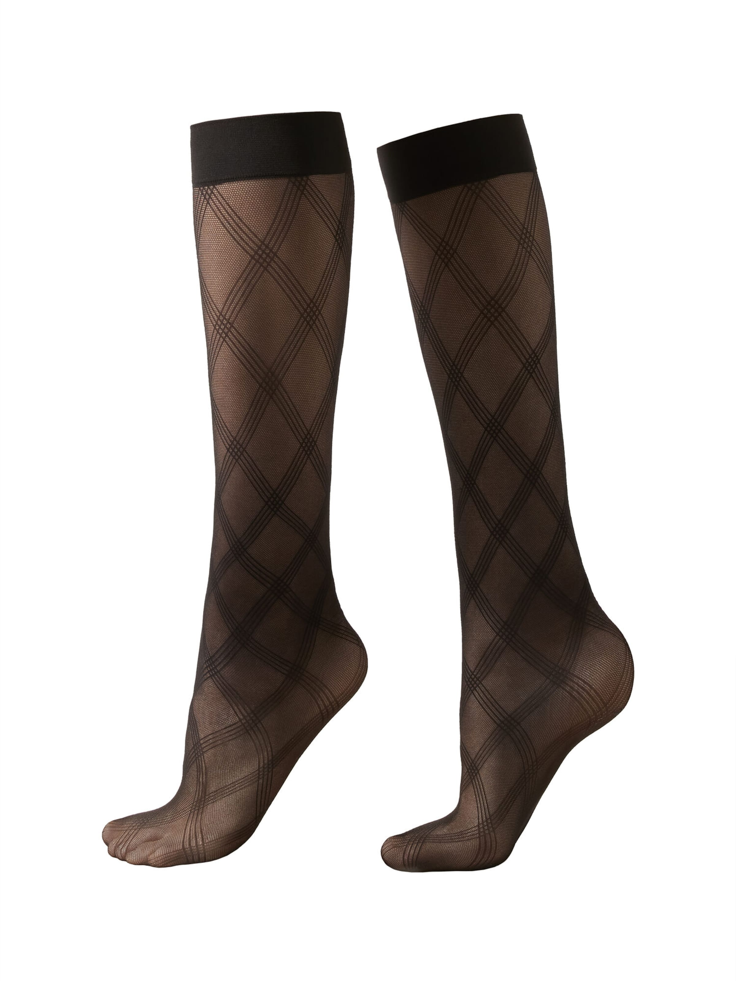 CALZEDONIA Strümpfe in Schwarz: Vorderseite