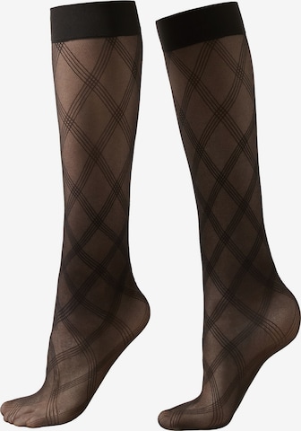 CALZEDONIA Strümpfe in Schwarz: Vorderseite