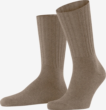 FALKE Socken 'Nelson' in Braun: Vorderseite