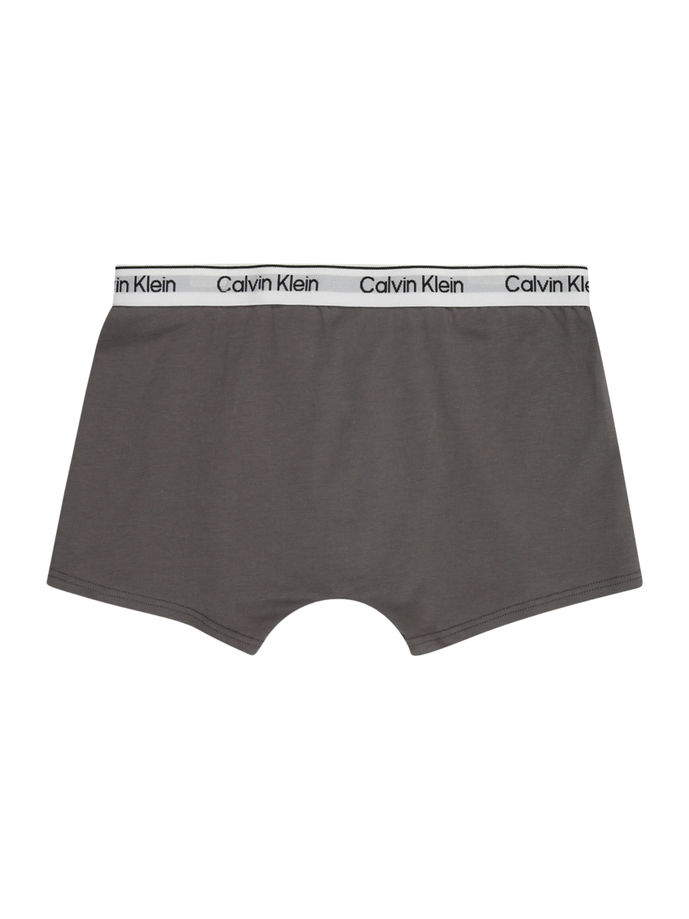 Sous-vêtements Calvin Klein Underwear en gris