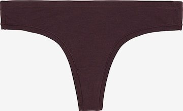 ARMEDANGELS Thong 'Faara' in Brown: front