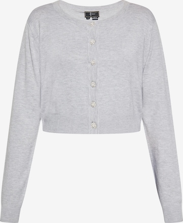 Cardigan faina en gris : devant