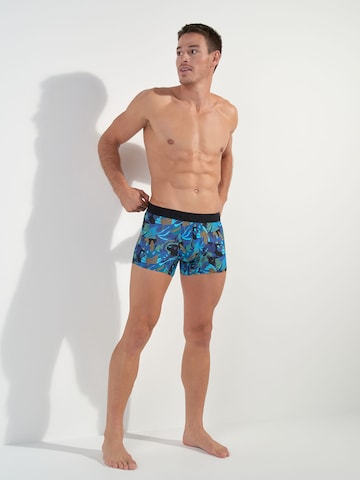 HOM Boxer shorts ' Java ' in Mixed colours