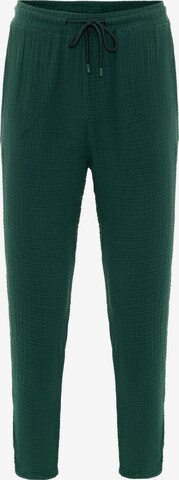Slimfit Pantaloni di Antioch in verde: frontale