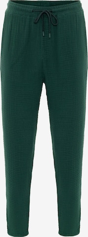 Coupe slim Pantalon Antioch en vert : devant