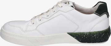 JOSEF SEIBEL Lace-Up Shoes 'FRED' in White