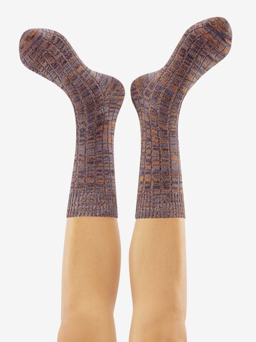 CHEERIO* Socks 'Heritage Tough Guy 4P' in Brown: back