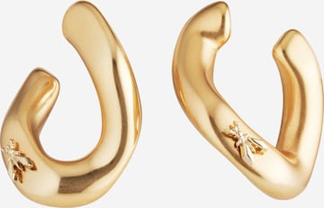 Boucles d'oreilles PATRIZIA PEPE en or : devant