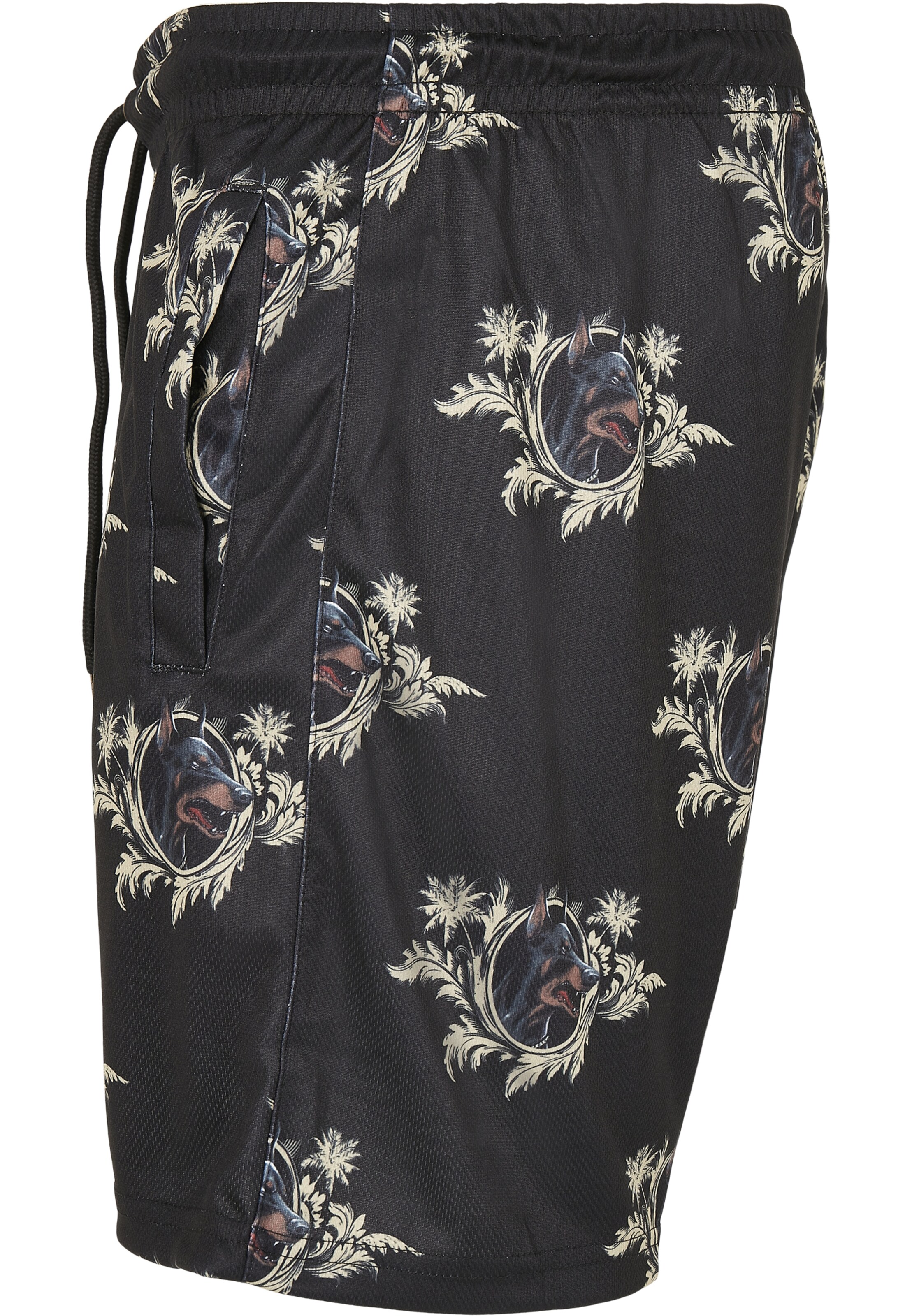 Cayler & Sons Regular Shorts in Schwarz