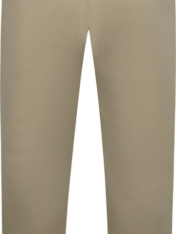 Steppin' out Regular Chino Pants in Green