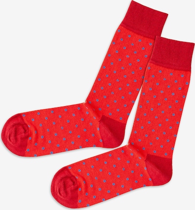 DillySocks Socken in blau / hellrot, Produktansicht
