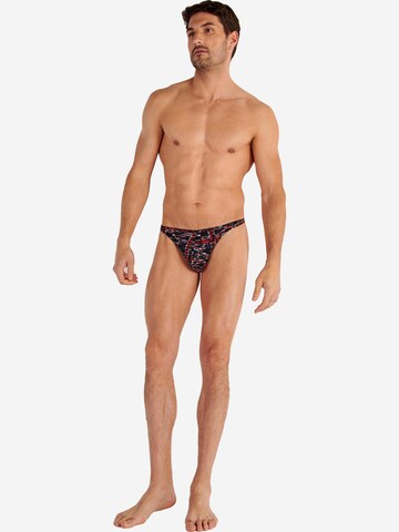 HOM Panty 'Malcom' in Mixed colors