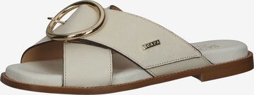 SCAPA Mules in Beige: front