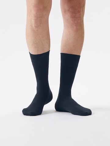 Von Jungfeld Socks 'SIGNATURE' in Blue: front