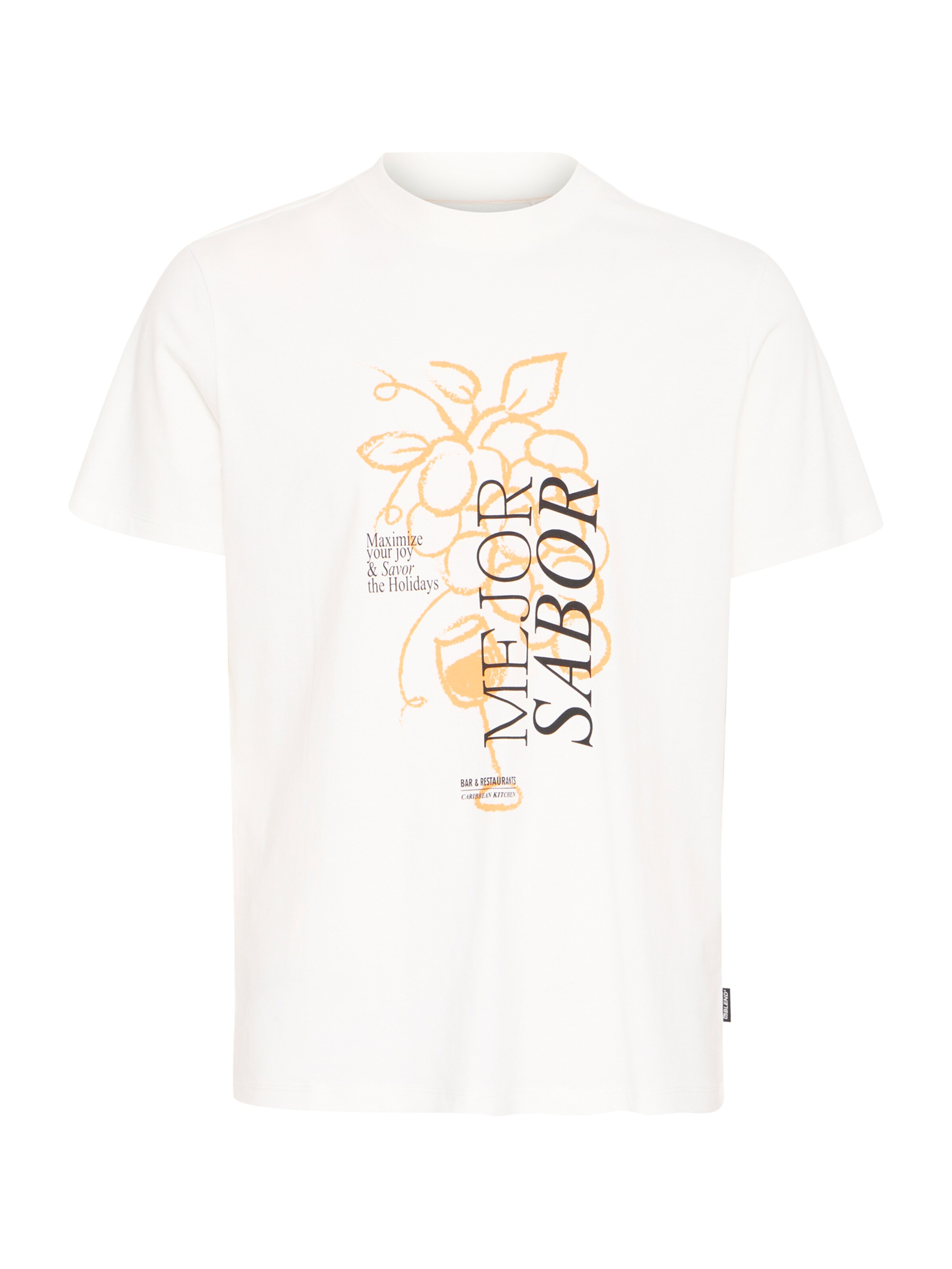 BLEND Shirt 'BHJOGVAN' in White: front