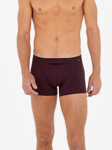 HOM Boxershorts in Rood: voorkant