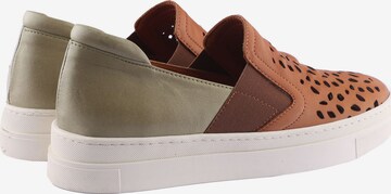 D.MoRo Shoes Sneakers in Brown