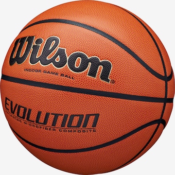 WILSON Ball 'EVOLUTION' in Brown