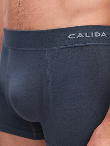 CALIDA Boxer shorts 'Seamless Natural' in Blue