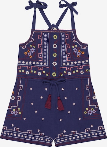 RAFFYA Jumpsuit in Blau: Vorderseite