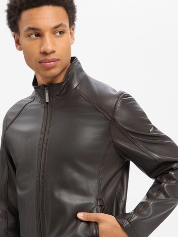 bugatti Tussenjas in Bruin