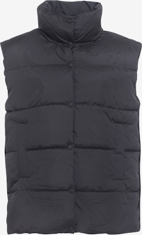 FRESHLIONS Bodywarmer ' Komuni ' in Zwart: voorkant