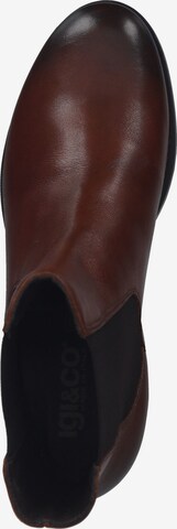 IGI&CO Chelsea boots in Bruin