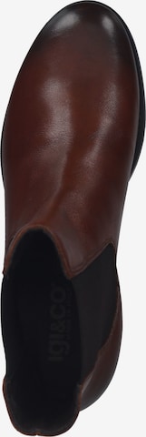 IGI&CO Chelsea Boots in Brown