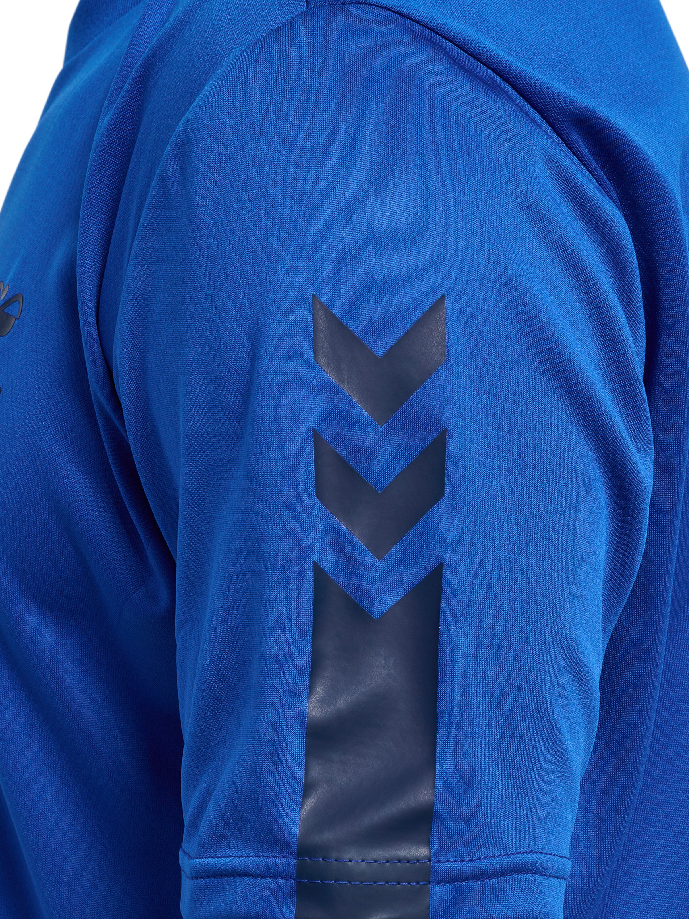 Hummel Functioneel shirt 'ACTIVE' in Blauw
