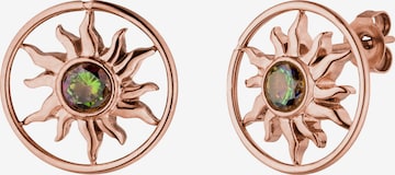 PURELEI - Brincos 'Luana Coin' em ouro: frente