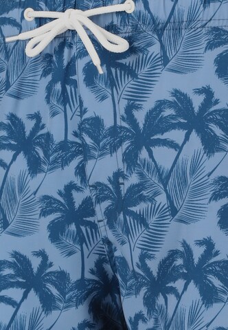 Cruz Boardshorts 'Werner' in Blau