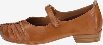 Everybody Ballet Flats with Strap in Brown