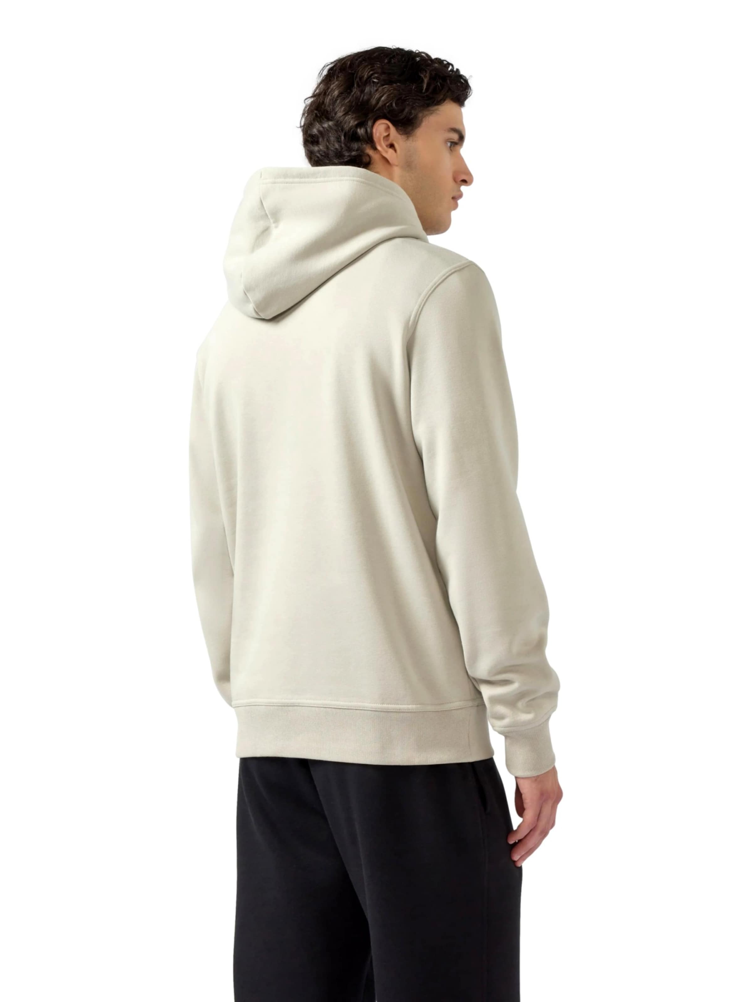 Pullover di Champion Authentic Athletic Apparel in beige