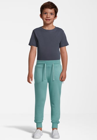 New Life Tapered Pants in Blue