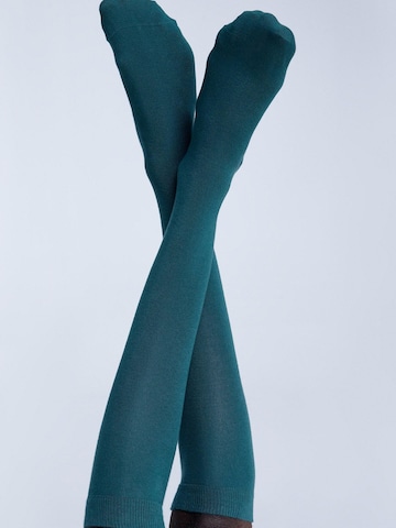 Albero Natur Knee High Socks in Green